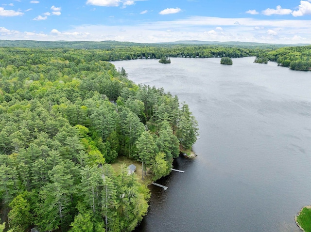 21 Pine Hill Dr, Barnstead, NH 03225 - drone / aerial view of a forest and a large body of water
