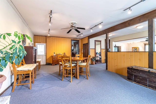 212 W Main St, Hillsborough, NH 03244 - dining space with rail lighting, a ceiling fan, wood walls, and carpet floors