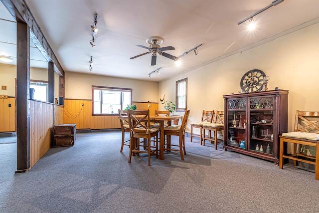 212 W Main St, Hillsborough, NH 03244 - carpeted dining area featuring track lighting, wainscoting, a ceiling fan, and wooden walls