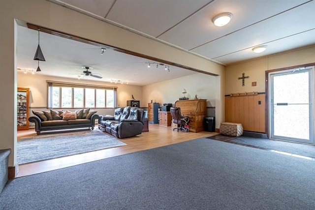 212 W Main St, Hillsborough, NH 03244 - carpeted living area featuring rail lighting and a ceiling fan