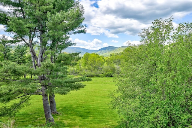 19 Hill & Vale Lane 19, Bartlett, NH 03812 - view of mountain background