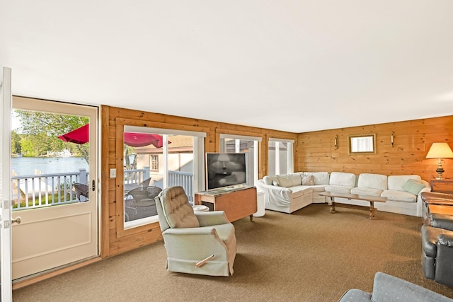 78 Windy Point Rd S, Wakefield, NH 03872 - living room with carpet, plenty of natural light, wooden walls, and a water view