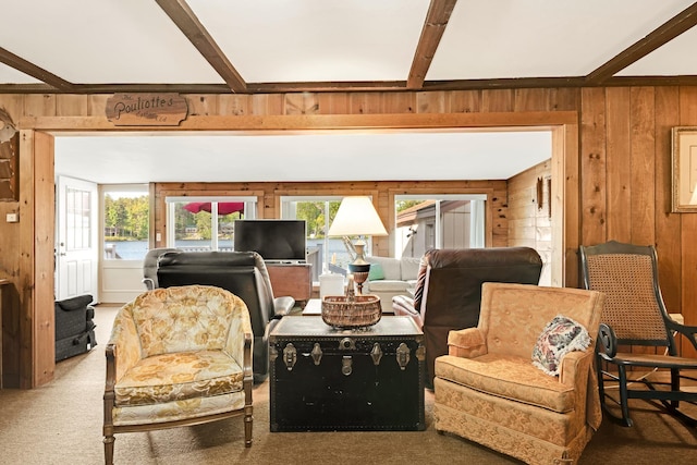 78 Windy Point Rd S, Wakefield, NH 03872 - living room featuring wooden walls, carpet floors, plenty of natural light, and beam ceiling