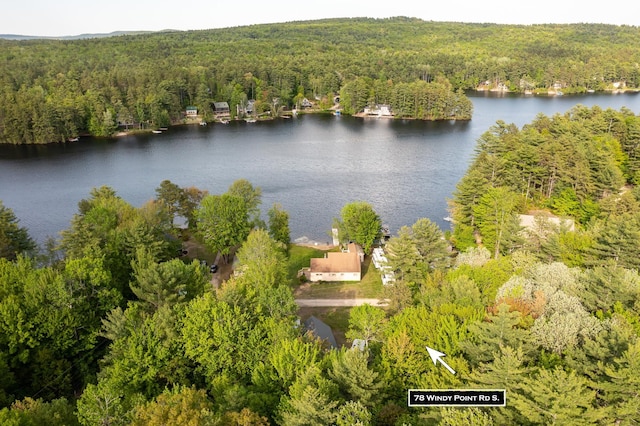 78 Windy Point Rd S, Wakefield, NH 03872 - aerial view of a forest and a large body of water