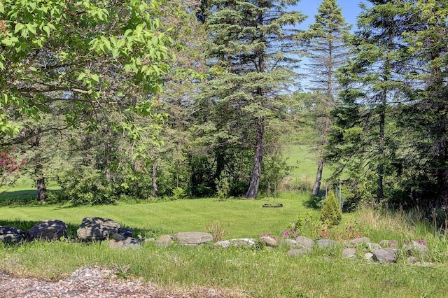 398 N Rd, Milton, VT 05468 - view of yard with a forest view