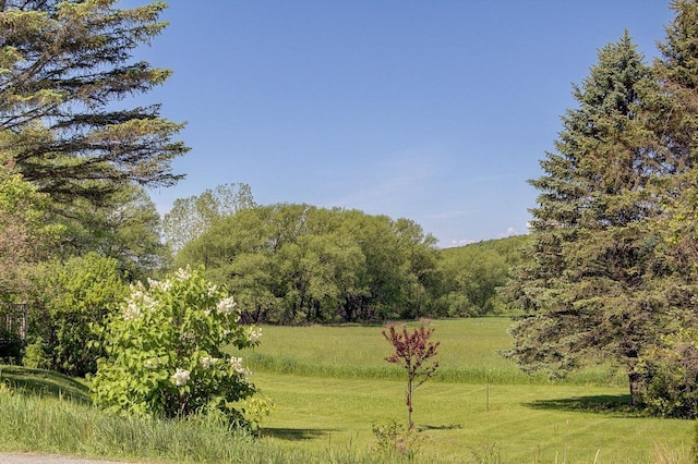 398 N Rd, Milton, VT 05468 - view of green lawn featuring a view of trees