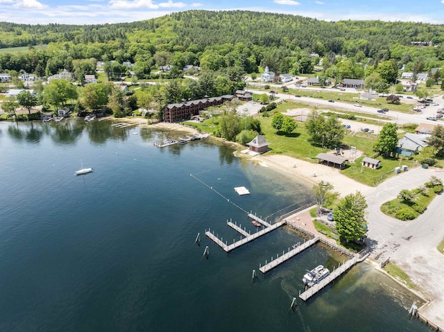 10 Wharf Rd, Center Harbor, NH 03226 - bird's eye view of a heavily wooded area and a large body of water