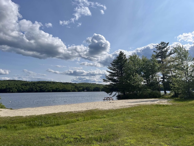 34 Adams Dr, Washington, NH 03280 - water view with a heavily wooded area