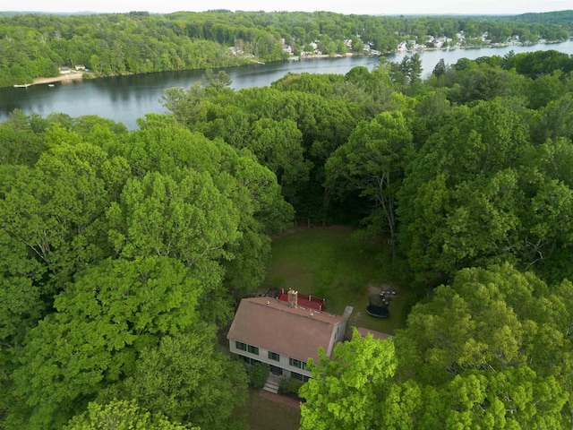 16 Berkeley St, Pelham, NH 03076 - aerial view of a heavily wooded area and a nearby body of water