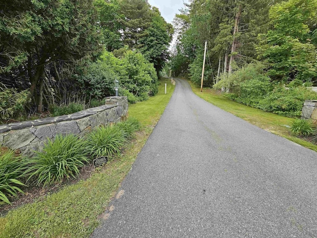 436 Mammoth Rd, Pelham, NH 03076 - view of road