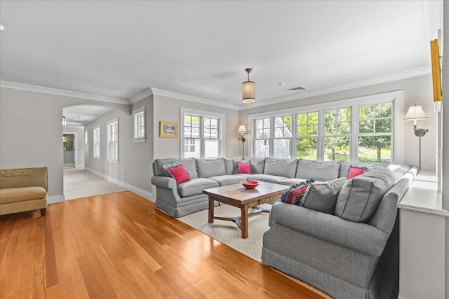 1097 Taber Ridge Rd, Stowe, VT 05672 - living area with arched walkways, light wood-style flooring, crown molding, plenty of natural light, and baseboards
