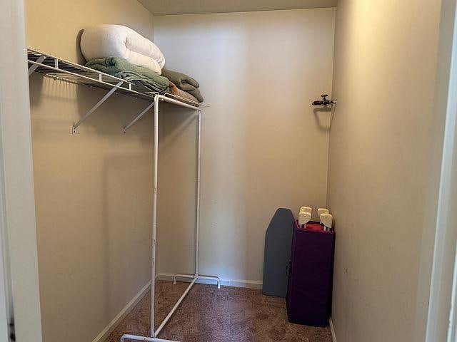 227 Main St Unit 232, Lincoln, NH 03251 - walk in closet featuring carpet
