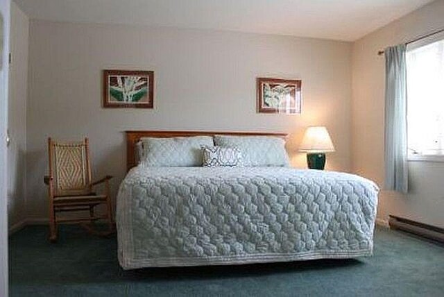 227 Main St Unit 232, Lincoln, NH 03251 - bedroom with multiple windows and carpet flooring