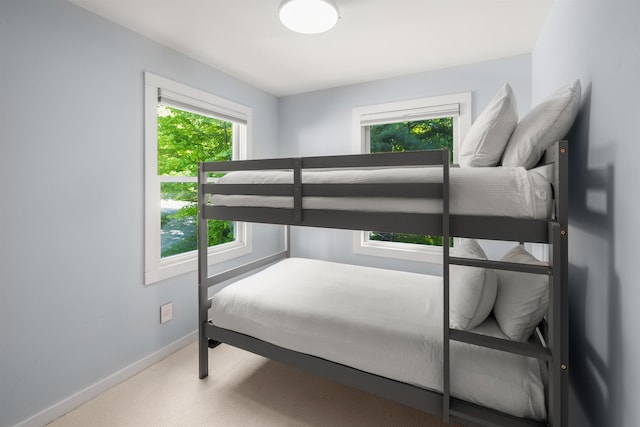 47 Hollow View Rd, Stowe, VT 05672 - bedroom with carpet floors and baseboards