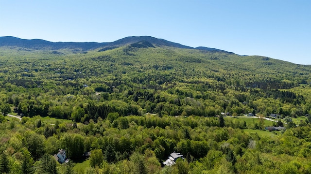 47 Hollow View Rd, Stowe, VT 05672 - view of mountain backdrop featuring a heavily wooded area