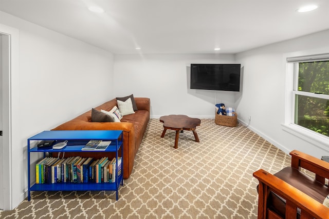 47 Hollow View Rd, Stowe, VT 05672 - living room with baseboards, recessed lighting, and carpet
