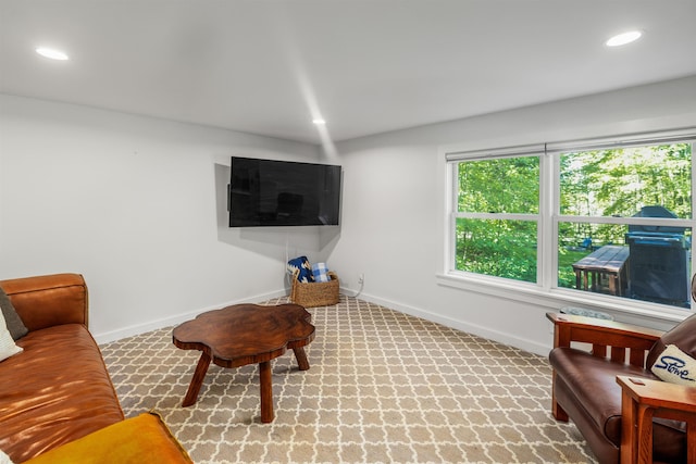 47 Hollow View Rd, Stowe, VT 05672 - living area with baseboards, recessed lighting, and carpet
