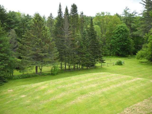 6 On The Cmn Unit 5, Lyme, NH 03768 - view of yard