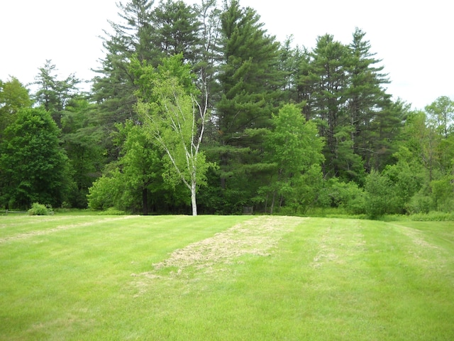 6 On The Cmn Unit 5, Lyme, NH 03768 - surrounding community featuring a lawn and a forest view