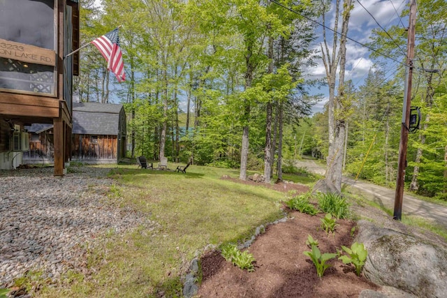 3233 Stinson Lake Rd, Ellsworth, NH 03266 - view of grassy yard