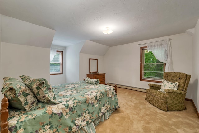 210 Province Rd, Belmont, NH 03220 - carpeted bedroom with baseboard heating and vaulted ceiling