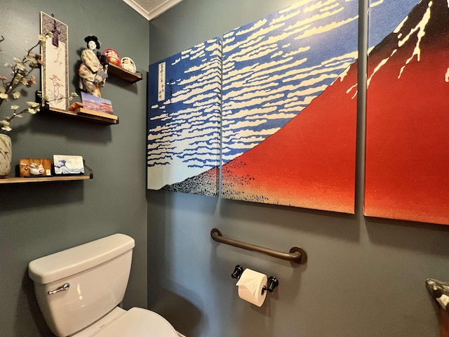 6 Nightingale Ln, Grantham, NH 03753 - bathroom with toilet and crown molding