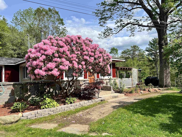 6 Nightingale Ln, Grantham, NH 03753 - view of green lawn