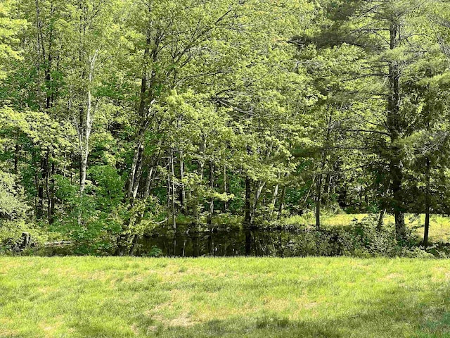 6 Nightingale Ln, Grantham, NH 03753 - view of tree filled area