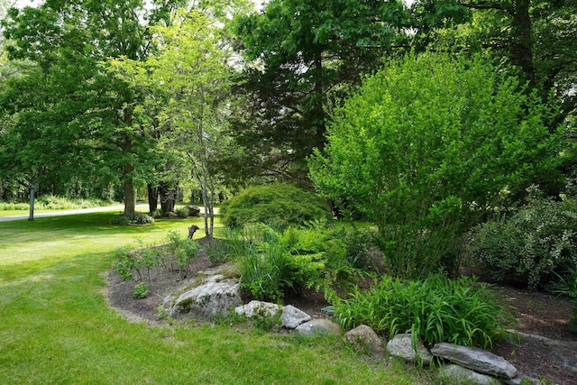 106 Jenkins Rd, Bedford, NH 03110 - view of green lawn
