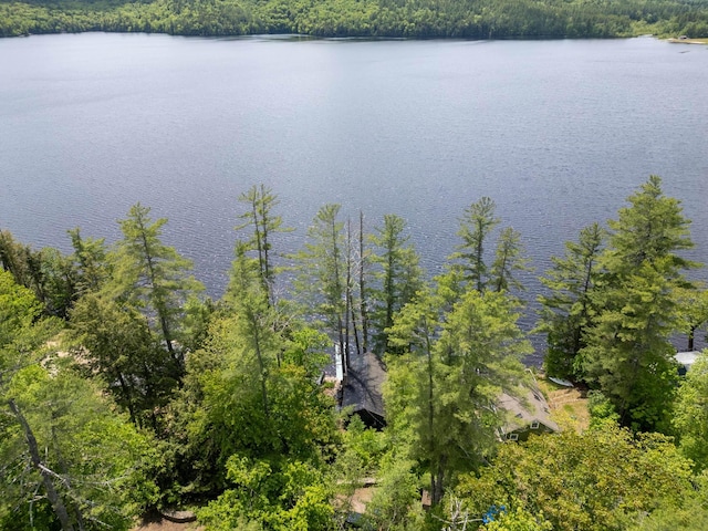376 White Oak Rd, Barnstead, NH 03225 - water view with a forest