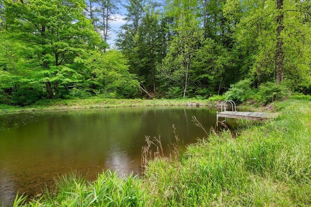 135 Governor Peck Rd, Jericho, VT 05465 - water view