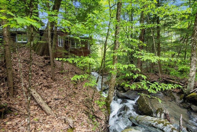 135 Governor Peck Rd, Jericho, VT 05465 - view of woods