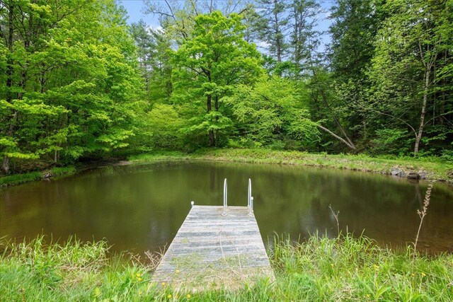 135 Governor Peck Rd, Jericho, VT 05465 - dock with a water view