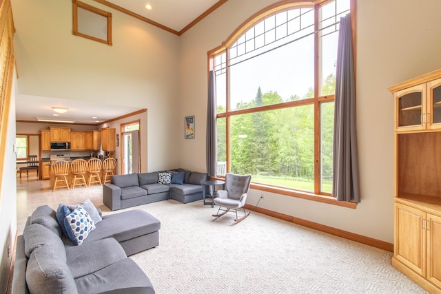 275 Petit Rd, Coventry, VT 05825 - living area featuring ornamental molding, a high ceiling, light colored carpet, baseboards, and recessed lighting