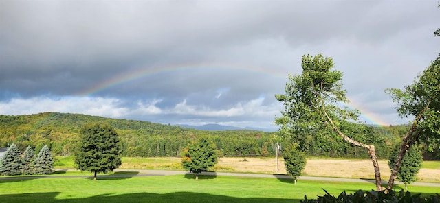 275 Petit Rd, Coventry, VT 05825 - view of home's community featuring a forest view, a lawn, and a mountain view