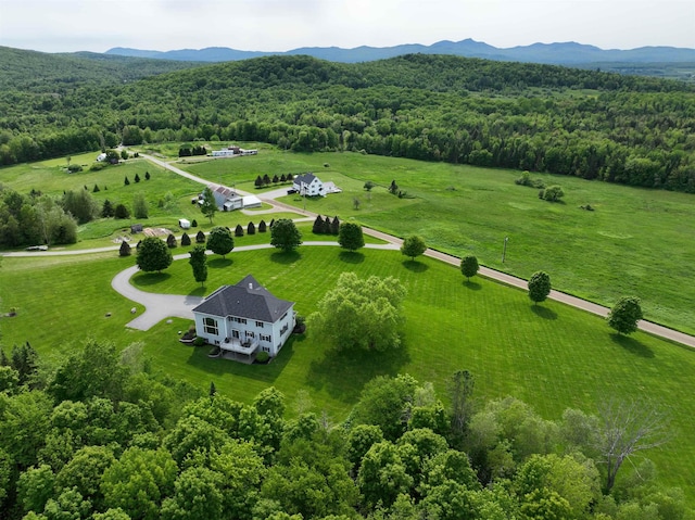 275 Petit Rd, Coventry, VT 05825 - view of rural area with a heavily wooded area and a mountain backdrop
