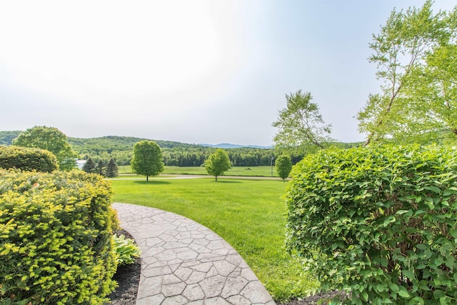 275 Petit Rd, Coventry, VT 05825 - surrounding community featuring a yard