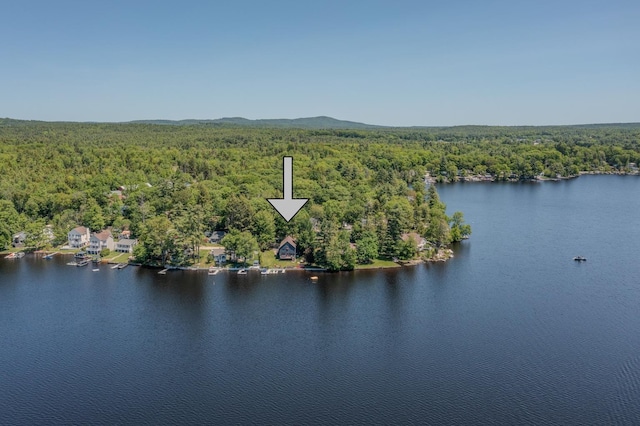 26 Association Dr, Northwood, NH 03261 - bird's eye view of a heavily wooded area and a large body of water