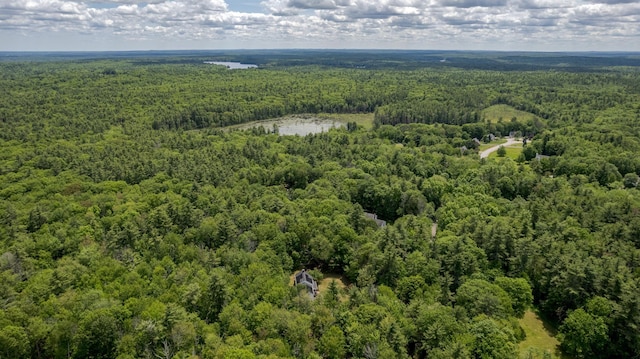 11 Rabbit Ln, Barrington, NH 03825 - aerial view of property's location with a forest