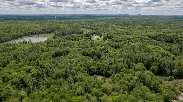 11 Rabbit Ln, Barrington, NH 03825 - aerial view of a heavily wooded area