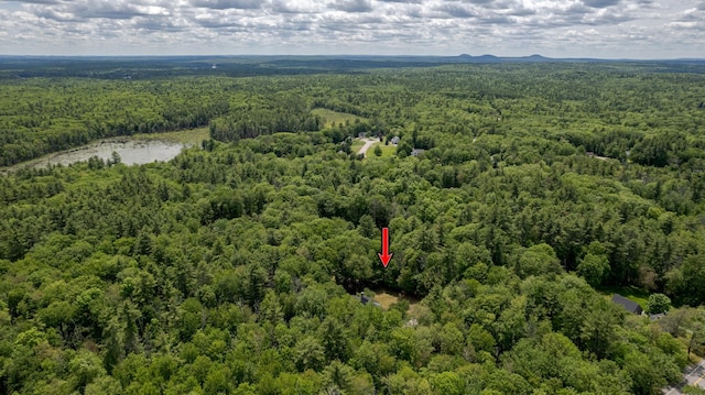11 Rabbit Ln, Barrington, NH 03825 - drone / aerial view of a heavily wooded area
