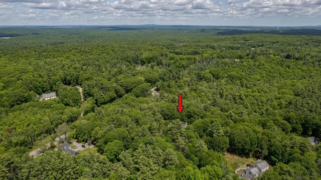 11 Rabbit Ln, Barrington, NH 03825 - view of property location featuring a forest