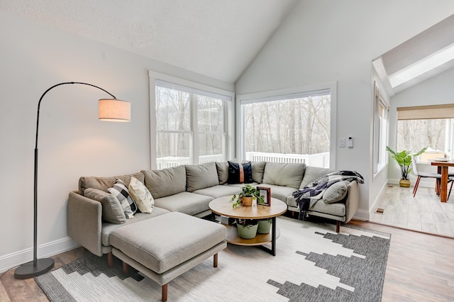 270 Beechnut Dr, Conway, NH 03860 - living area featuring wood finished floors, baseboards, and high vaulted ceiling