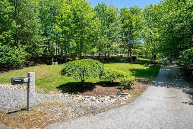 78 Hitching Post Ln, Bedford, NH 03110 - view of street