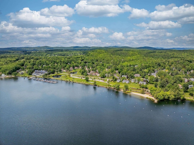 82 Garden Cir, Laconia, NH 03246 - bird's eye view of a heavily wooded area and a water and mountain view