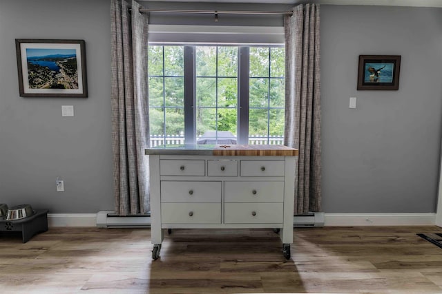 82 Garden Cir, Laconia, NH 03246 - detailed view of a baseboard heating unit, baseboards, and wood finished floors