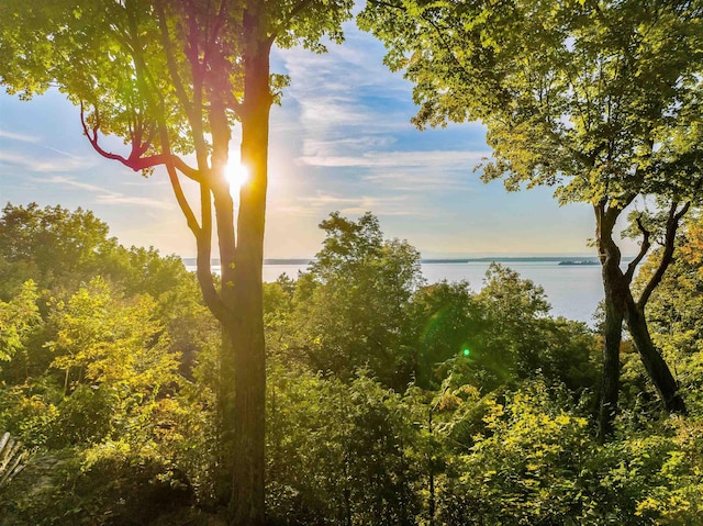 171 Cold Spring Rd, Milton, VT 05478 - water view