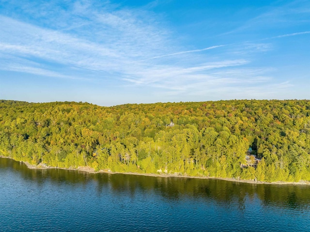 171 Cold Spring Rd, Milton, VT 05478 - water view with a heavily wooded area