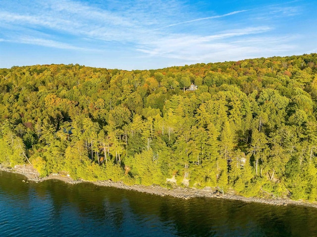 171 Cold Spring Rd, Milton, VT 05478 - aerial overview of property's location featuring a forest and a nearby body of water