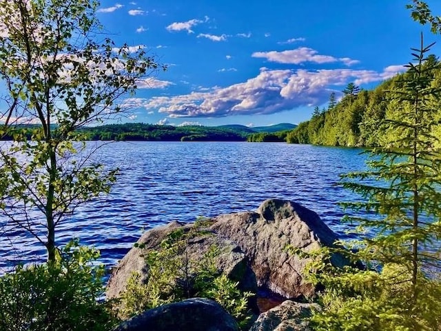 54 Black Duck Spur, Grantham, NH 03753 - water view